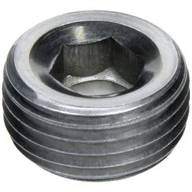 Allstar Performance All49814 Allen Plug Npt 1 2in Steel