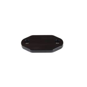 Canton 21-964 Fuel Pump Block-off Plate