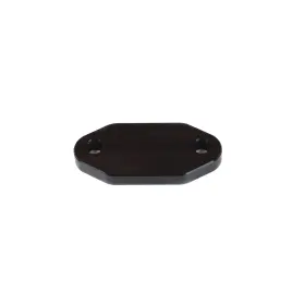 21-964 Canton Fuel Pump Block-off Plate