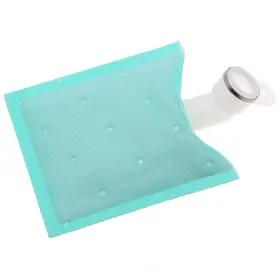 Sts-248 Carter Fuel Pump Strainer Sts248