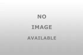 43285 Dorman Brass Hose Fitting 1 4