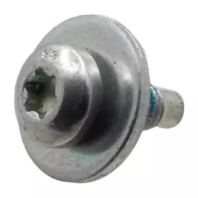 W700228-s437 Ford Genuine Filler Pipe Screw