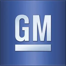 15041614 Gm Genuine Strap