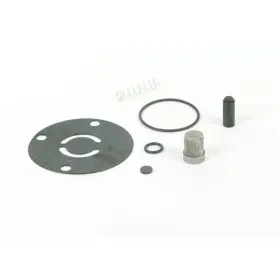 12-820 Holley Fuel Pump Check Valve Kit