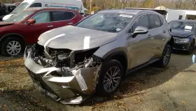 197-10451 Lexus Nx350 2023 Fuel Tank 1396687