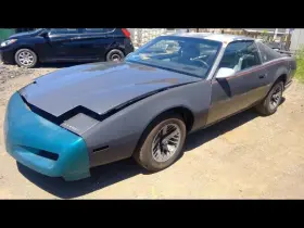177.gm2k91 Pontiac Firebird 1991 Fuel Filler Door 135656