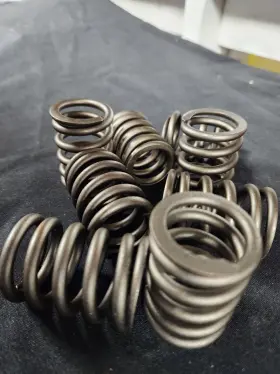 Vs-1435 Sealed Power 1981 1982 Ford E Series Vans Valve Spring