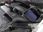 Afe Magnum Force Pro 5R Cold Air Intake 2021-2025 Ford F-150 3.5L Ecoboost New. Price: $360.29.