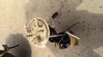 Fuel Pump Assembly 6.7L 8' Box Fits 17-22 Ford F250SD Pickup 688233 Used. Price: $128.15.