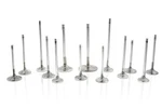 Ferrea F1945P 35.5MM Oversize Intake Valve Set For 1983-2023 Toyota 3SGE New. Price: $273.95.