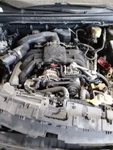 Legacy 2016 Fuel Filler Neck 1979455 Used. Price: $87.33.