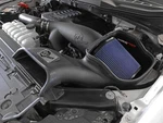 Afe Magnum Force Pro 5R Cold Air Intake 2021-2025 Ford F-150 3.5L Ecoboost New. Price: $356.04.