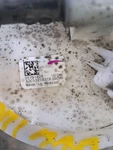 2009 Lucerne Fuel Pump SKU#4375026 Used. Price: $79.33.
