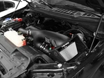 Afe Magnum Force STAGE-2 Cold Air Intake 2015-2025 Ford F-150 Ecoboost 2.7L New. Price: $325.68.