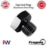 Fragola Performance Systems 481408-BL Caps And Plugs Aluminum Port New. Price: $23.20.
