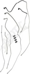 Apdty 153996 Preformed Fuel Line Replaces 15283792, 15934416 New. Price: $407.93.