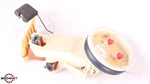 96-02 Bmw Z3 Roadster Fuel Pump Assembly 1183687 Oem Used. Price: $98.99.