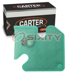 Carter STS-305 Fuel Pump Strainer For STR122 S15033 FS301 B0113S 68018 Air Oe New. Price: $20.63.