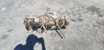 15 Chevy Silverado 2500 Ltz 6.6D Def Diesel Exhaust Fluid Tank Used. Price: $175.00.