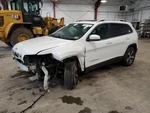 (local Pickup Only) Air Cleaner 3.2L Fits 19-22 Cherokee 2069892 Used. Price: $124.90.