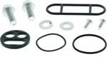 Quadboss Qbs Fuel Tap Kits 420573 New. Price: $29.99.