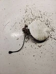 Liberty 2012 Fuel Filler Door Assembly Original Equipment Tested Oem Used. Price: $45.00.