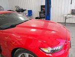 2015 Ford Mustang Fuel Filler Door Red Oem Used 3944537 103K Miles. Price: $80.70.