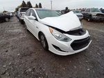 Fuel Tank Vin 8TH Digit Hybrid Fits 11-16 Optima 11241945 Used. Price: $374.02.