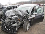 Sentra 2017 Fuel Filler Neck 891978 Used. Price: $112.49.