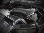 Afe Rapid Induction Cold Air Intake 2021-2025 Ford F-150 5.0L V8 New. Price: $354.00.