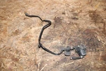 Mercedes-benz W209 Clk Class Fuel Gas Evaporator Damper Assembly Unit Oem Used. Price: $39.99.