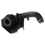 Cold Air Intake Kit+filter WG215-BK-BHW For 15-20 Vw Golf Alltrack Gti Jetta New. Price: $99.99.