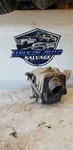 Air Cleaner 4-122 2.0L Fits 98-02 Mazda 626 406094 Used. Price: $66.50.