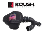 2018-2025 Ford F-150 3.5L Raptor Roush 422089 Engine Cold Air Intake Kit New. Price: $429.99.