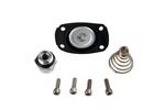 Aeromotive 13005 Carb Regulator Repair Kit New. Price: $30.49.
