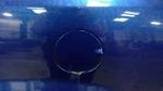Avenger 2013 Fuel Filler Door 2342288 Used. Price: $130.00.