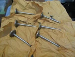 Nos 1984 1998 Ford F250 F350 7.3L Diesel Intake Valves Lot Of 6X F4HZ-6507-B New. Price: $49.99.