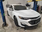 2020 Chevrolet Malibu Fuel Filler Door - Used, White, Oem, 82000 Miles. Price: $80.70.