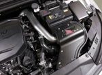 Aem Cold Air Intake System For 2019-2021 Hyundai Veloster 1.6L Turbo New. Price: $379.99.