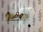 Fuel Pump Assembly 6' 3" Box 8.3L Fits 04-05 Dodge 1500 Pickup 276574 Used. Price: $56.80.