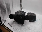 Air Cleaner 2.5L Without Turbo Canada Emissions Fits 05-07 Legacy 675810 Used. Price: $81.11.