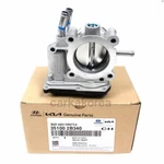 Genuine 351002B340 Throttle Body For Hyundai Kona 2018-2020, Tucson 2016-2018 New. Price: $264.10.